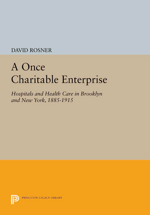 A Once Charitable Enterprise - David Rosner