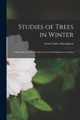 Studies of Trees in Winter