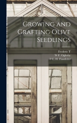 Growing and Grafting Olive Seedlings