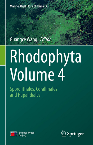 Rhodophyta - Volume 4