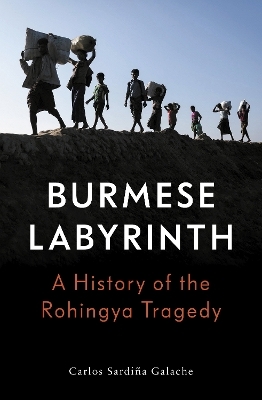 The Burmese Labyrinth - Carlos Sardi&ntilde;a Galache