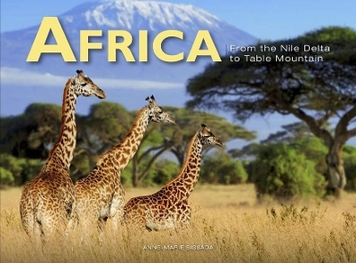 Africa - Anne-Marie Bissada