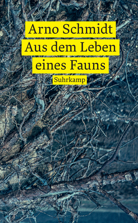 Aus dem Leben eines Fauns - Arno Schmidt