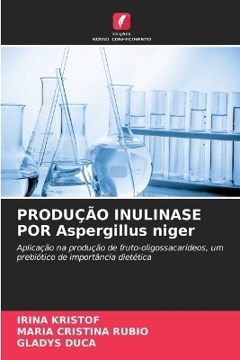 PRODU&Ccedil;&Atilde;O INULINASE POR Aspergillus niger - IRINA KRISTOF, Mar&iacute;a Cristina Rubio, GLADYS DUCA