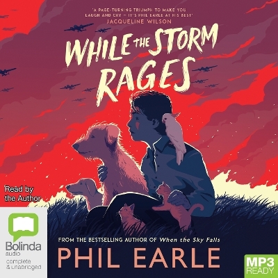While the Storm Rages - Phil Earle