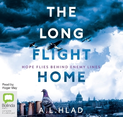 The Long Flight Home - Alan Hlad