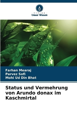 Status und Vermehrung von Arundo donax im Kaschmirtal