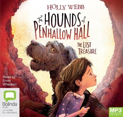 The Lost Treasure - Holly Webb