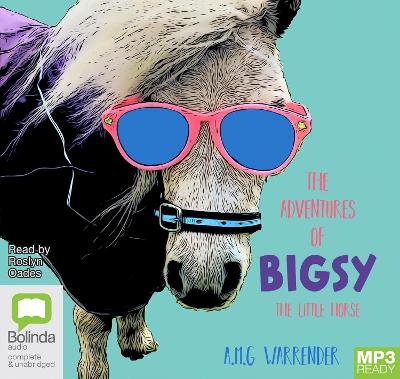 The Adventures of Bigsy - The Little Horse - A.M.G. Warrender