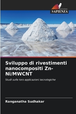 Sviluppo di rivestimenti nanocompositi Zn-Ni/MWCNT - Ranganatha Sudhakar