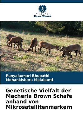 Genetische Vielfalt der Macherla Brown Schafe anhand von Mikrosatellitenmarkern - Punyakumari Bhupathi, Mohankishore Molabanti