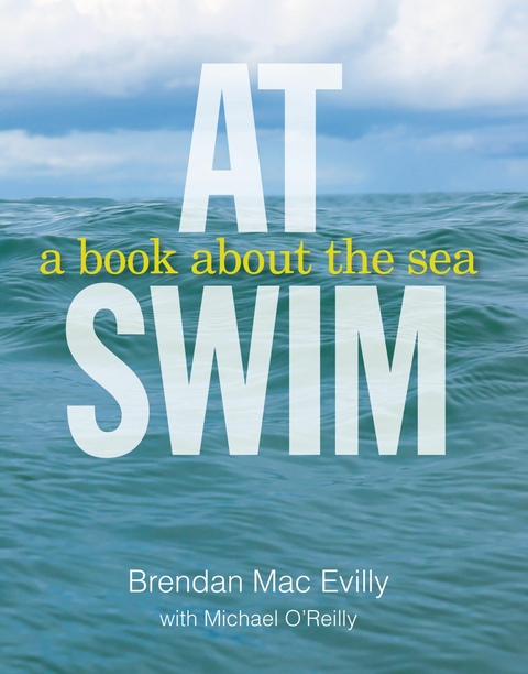At Swim -  Brendan Mac Evilly,  Michael O'Reilly