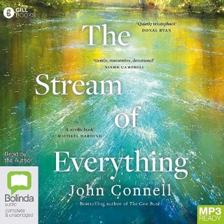 The Stream of Everything