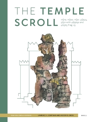 The Temple Scroll - Lawrence H. Schiffman, Andrew Gross