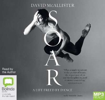 Soar - David McAllister