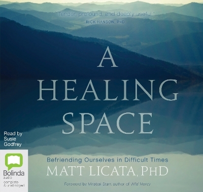 A Healing Space - Matt Licata