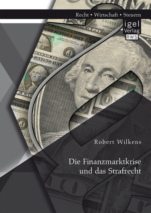 Die Finanzmarktkrise und das Strafrecht - Robert Wilkens