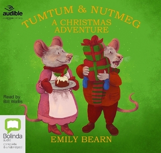 A Christmas Adventure