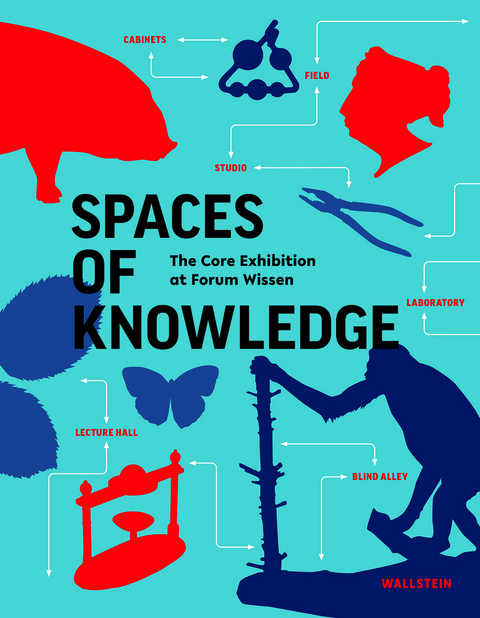 Spaces of knowledge - 