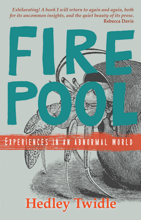 Firepool - Hedley Twidle