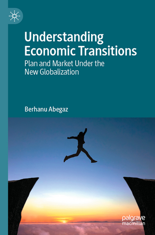 Understanding economic transitions