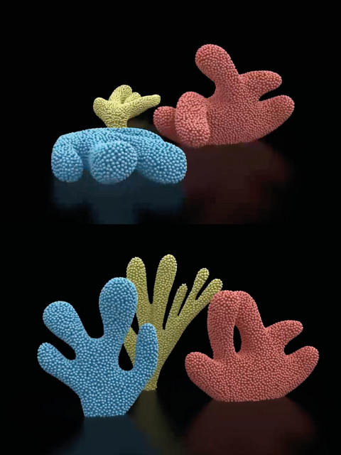 After Nature. - Claudia Comte