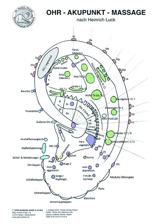 Ohr-Akupunkt-Massage