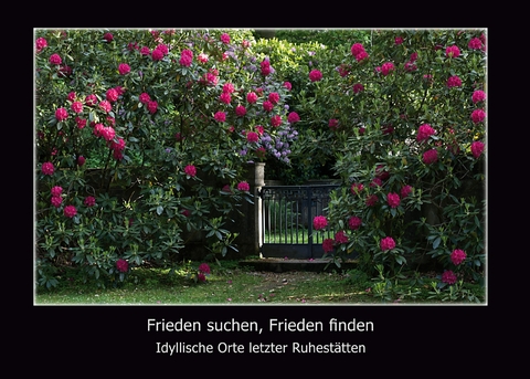 Frieden suchen, Frieden finden - Christel Schweser