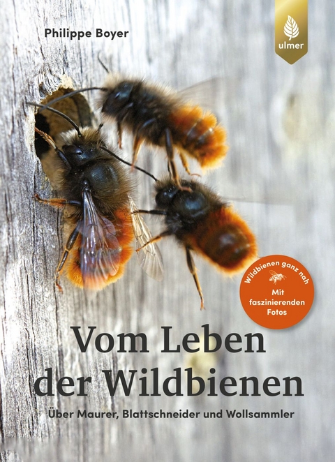 Vom Leben der Wildbienen - Philippe Boyer