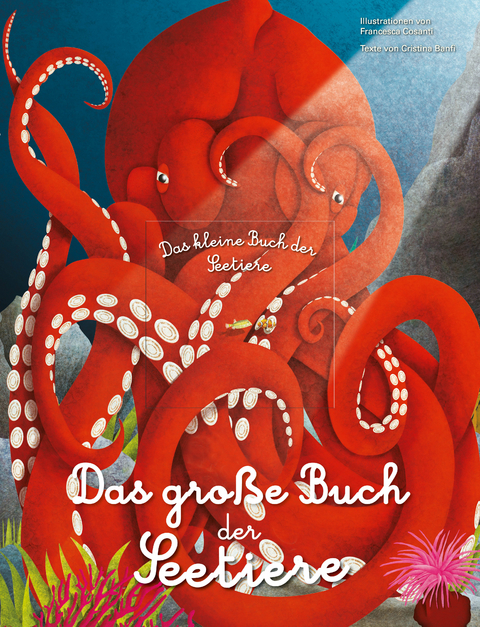 Das grobetae Buch der Seetiere. Das kleine Buch der Seetiere - Cristina Banfi