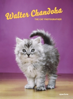 Walter Chandoha: The Cat Photographer - Walter Chandoha