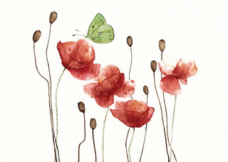 Aquarell Postkarte Klatschmohn