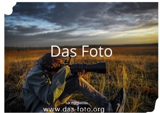 Das Foto