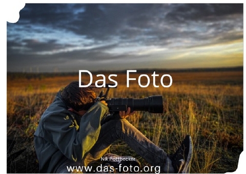 Das Foto - Nik Pottbecker