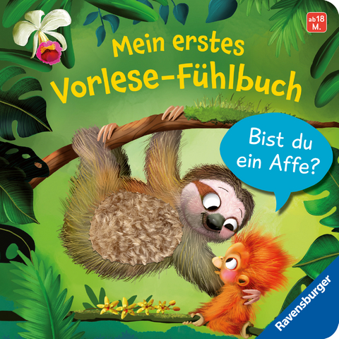 Mein erstes Vorlese-F&uuml;hlbuch - Bist du ein Affe? - Kathrin Lena Orso