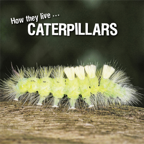How they live... Caterpillars - David Withrington, Ivan Esenko