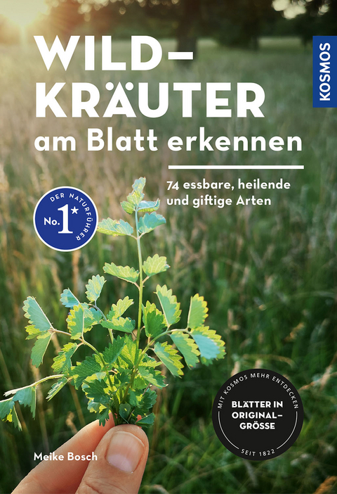 Wildkräuter am Blatt erkennen - Meike Bosch