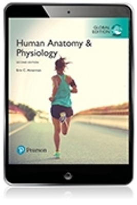Human Anatomy and Physiology, Standalone Pearson eText, Global Edition