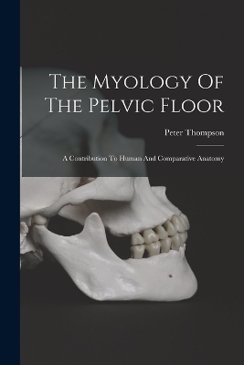 The Myology Of The Pelvic Floor