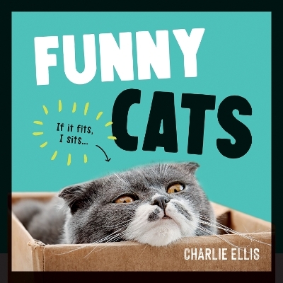 Funny Cats - Charlie Ellis
