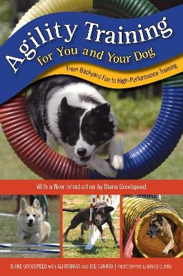 Agility Training for You and Your Dog