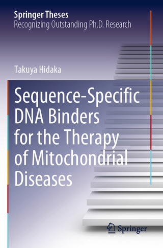 Sequence-Specific DNA Binders for the Therapy of Mitochondrial Diseases