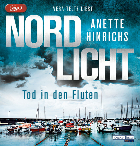 Nordlicht - Tod in den Fluten - Anette Hinrichs