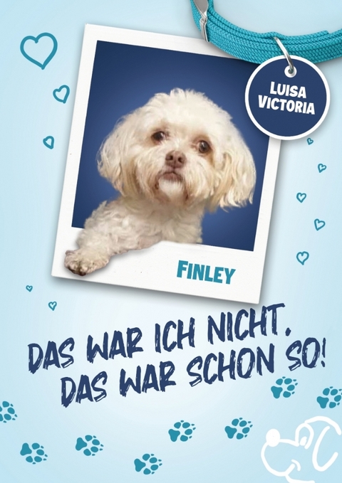 Das war ich nicht, das war schon so! 1. Auflage - Luisa Victoria