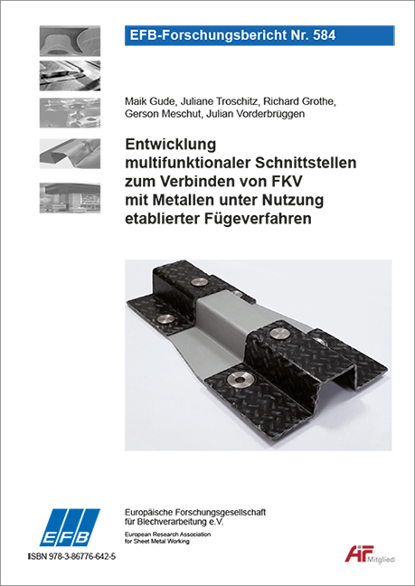 Entwicklung multifunktionaler Schnittstellen zum Verbinden von FKV mit Metallen unter Nutzung etablierter F&uuml;geverfahren - Maik Gude, Juliane Troschitz, Richard Grothe, Gerson Meschut, Julian Vorderbr&uuml;ggen