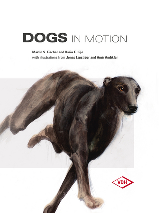 Dogs in Motion