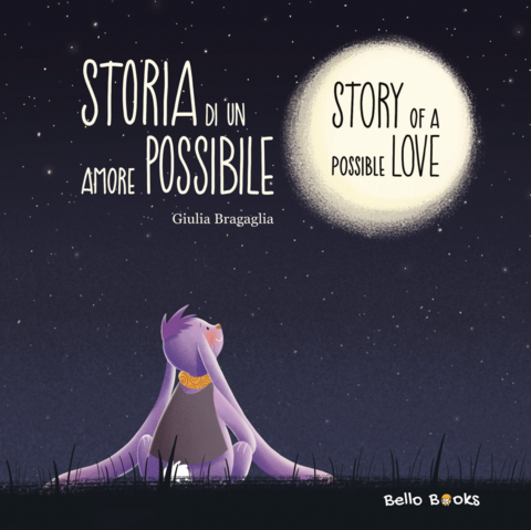 Storia di un amore possibile - Story of a possible love - Giulia Bragaglia
