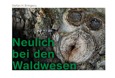 Neulich bei den Waldwesen - Stefan H. Bringezu