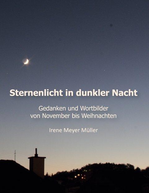 Sternenlicht in dunkler Nacht - Irene Meyer M&uuml;ller