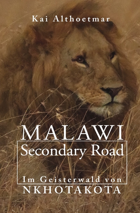 Malawi Secondary Road - Kai Althoetmar